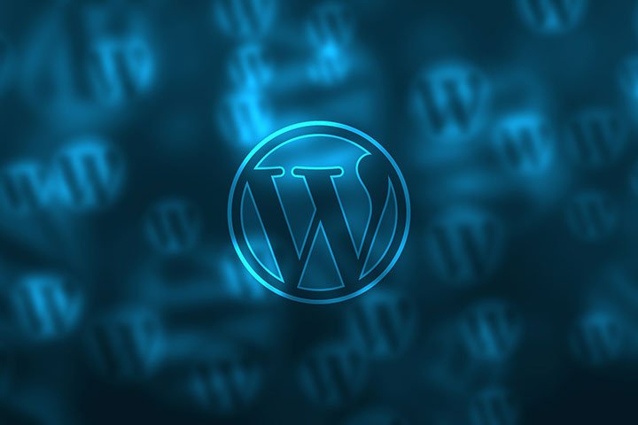 Why WordPress is Easy to Customize | Bisckut