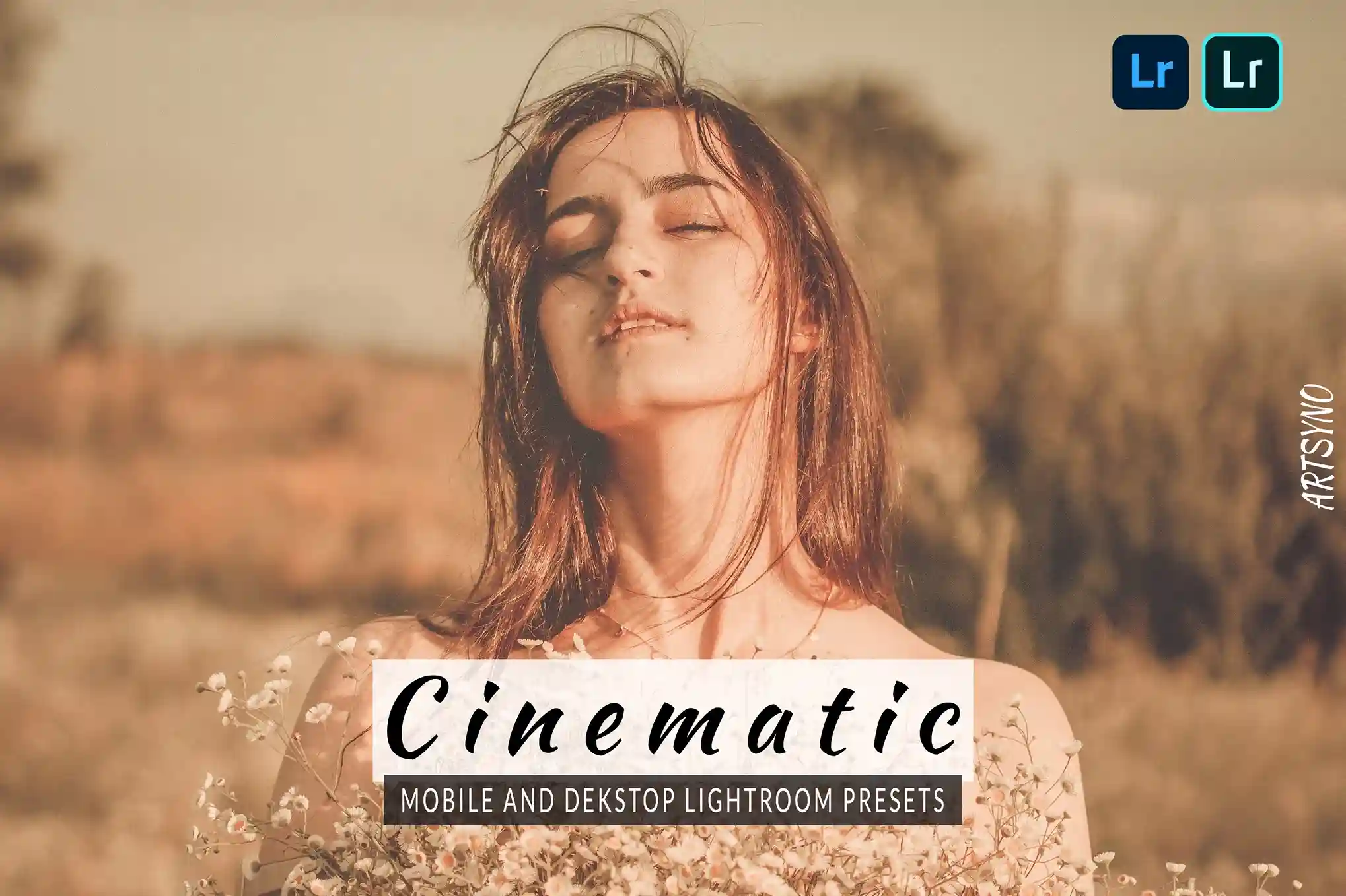 cinematic lightroom presets