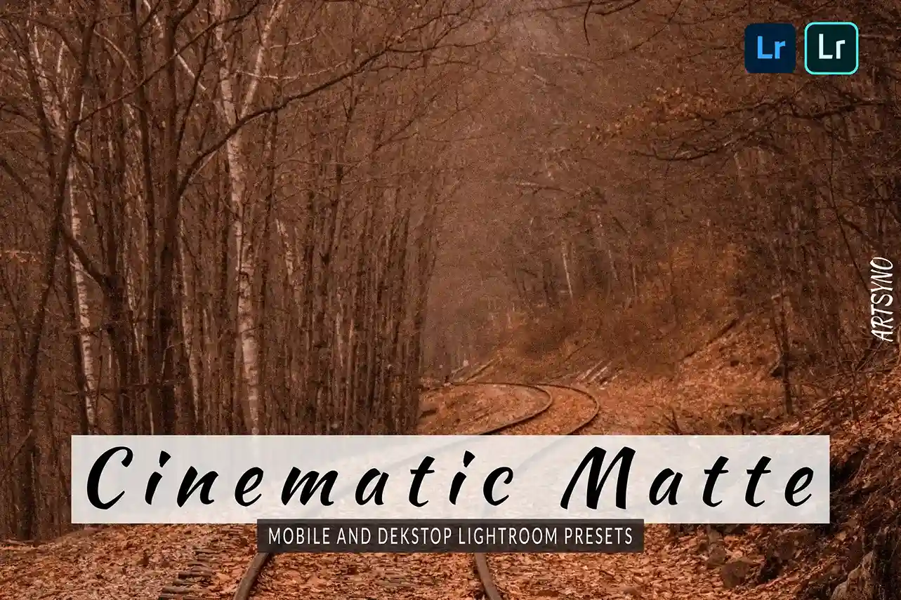 cinematic lightroom presets