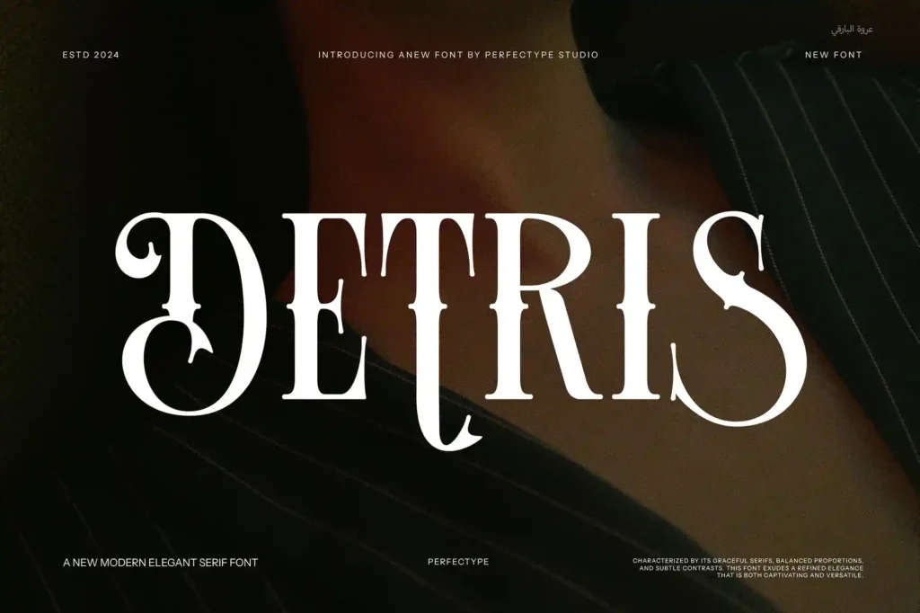 Detris Tattoo Serif Font 