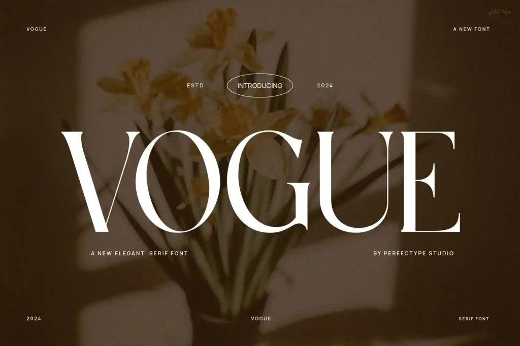 Vogue elegant font download