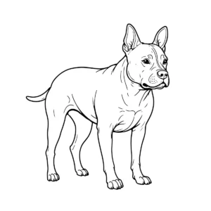 American bully line art download