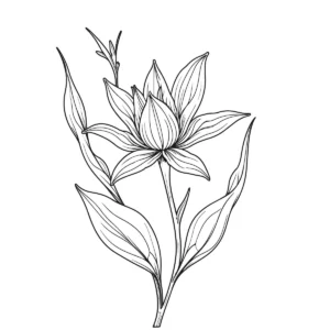 botanical line art download