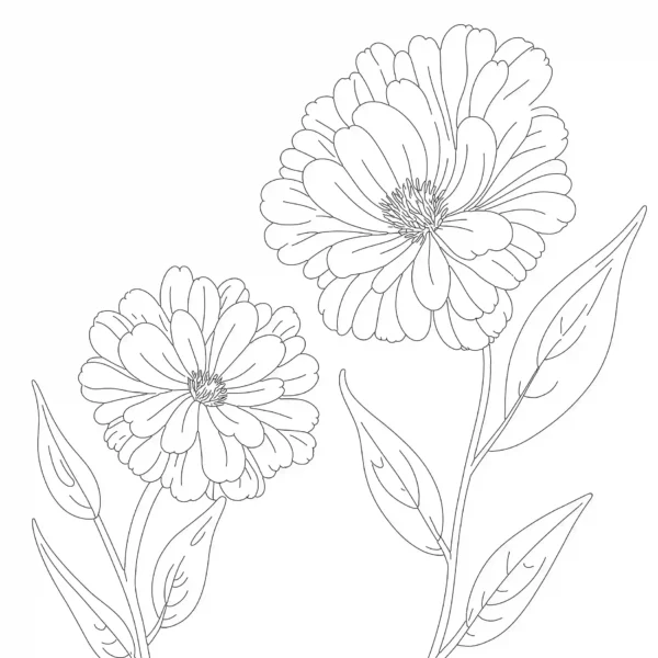 Flower Line Art download