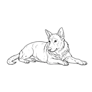 German shepherd line art download