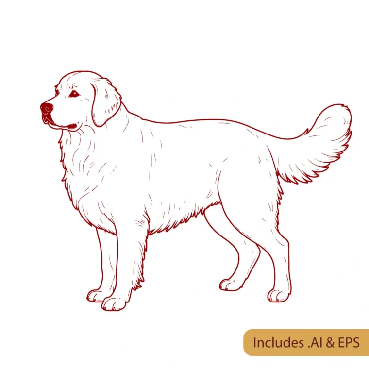 Golden Retriever Standing Position Line Art download