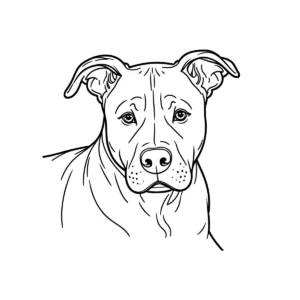 Pitbull Face Line Art download