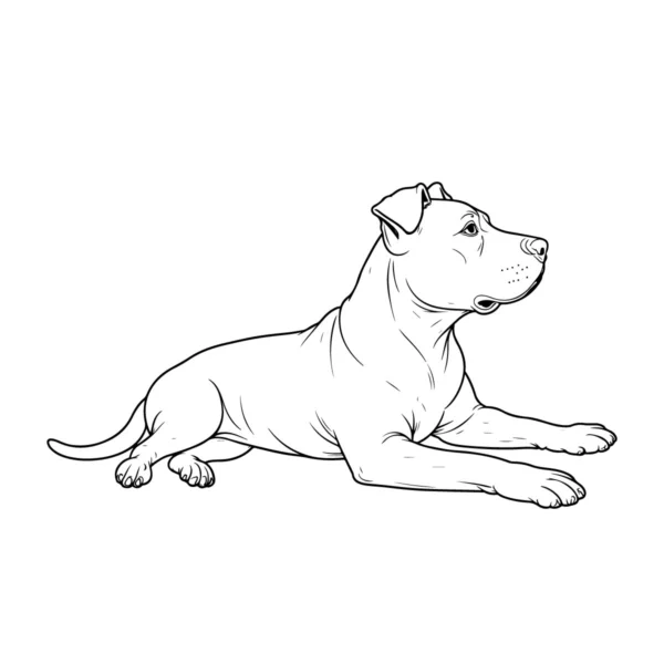 Pitbull dog line art download