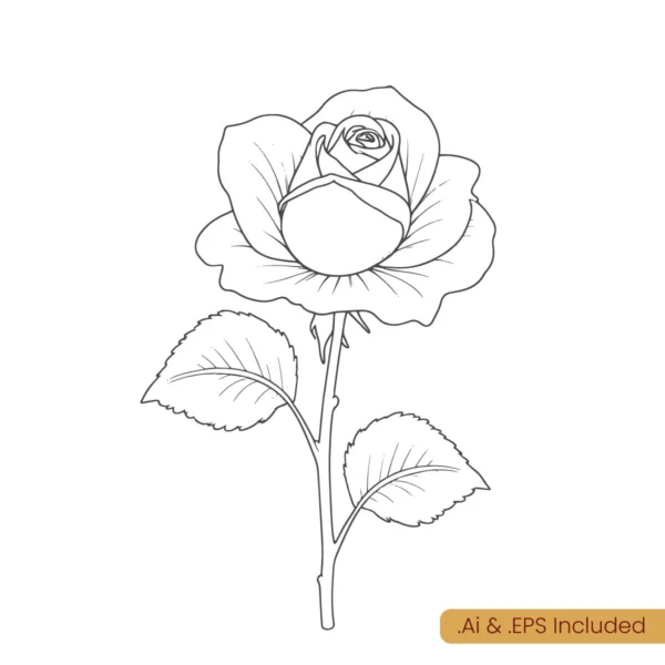 Rose Line Art download