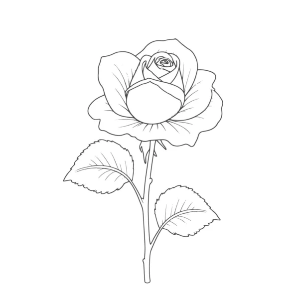 Rose Line Art download