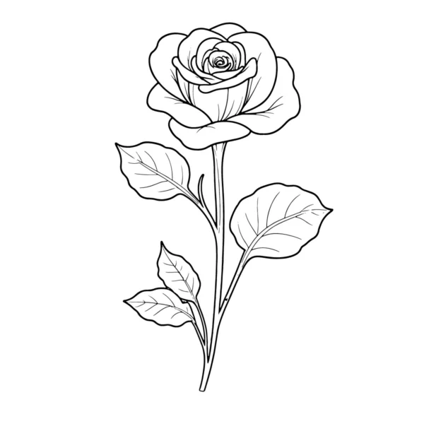 Rose floral Line Art download