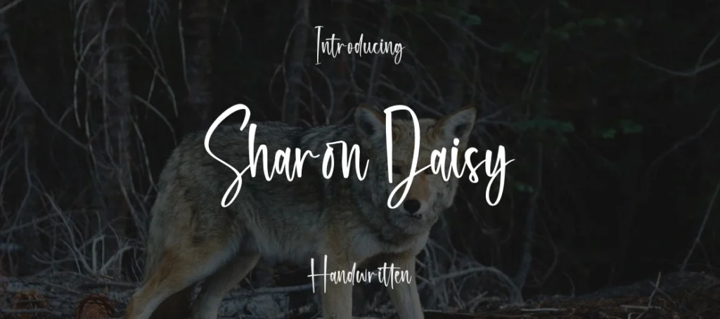 Sharon daisy font1