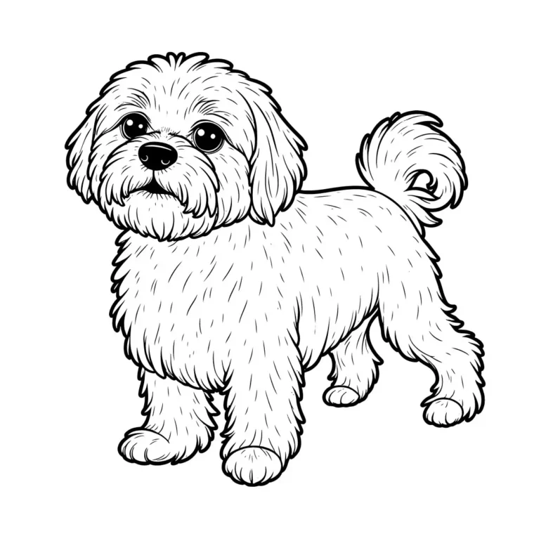 Shih Tzu Dog Line Art download