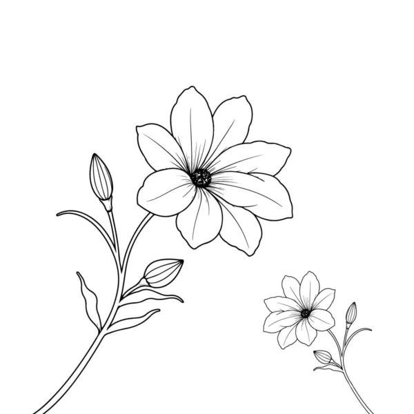 Sunflower Floral Line Art