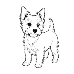 Yorkshire Terrier Line Art download