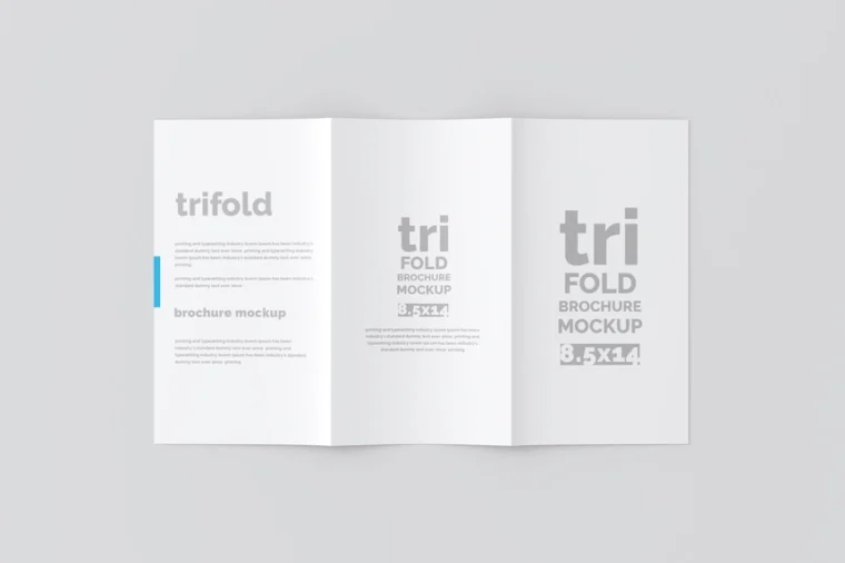 Professional Trifold Brochure Mockup