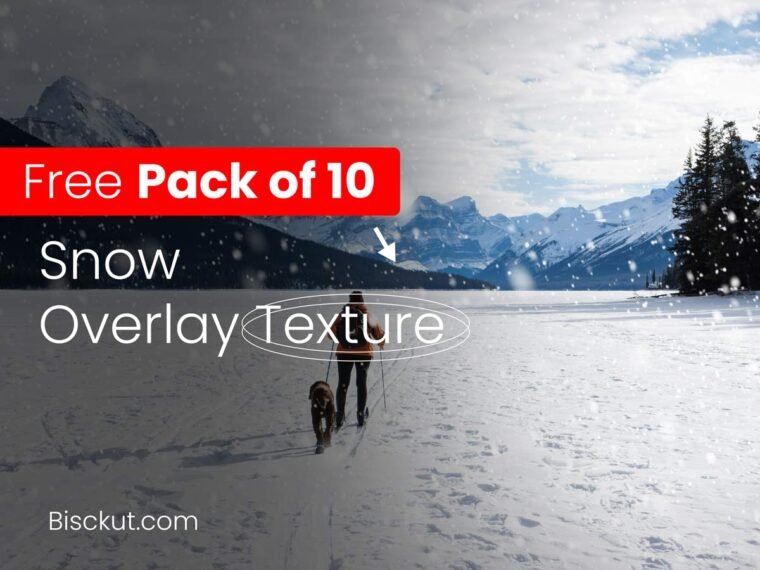 Pack of 10 Snow Overlay