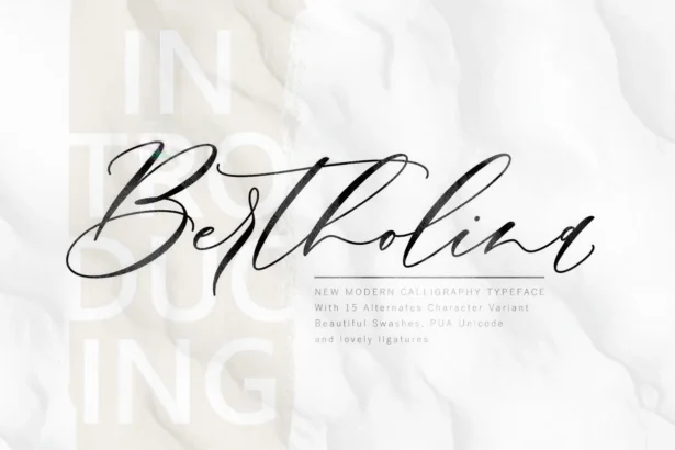 Elegant Bertholina Script font sample with swashes and ligatures on white background