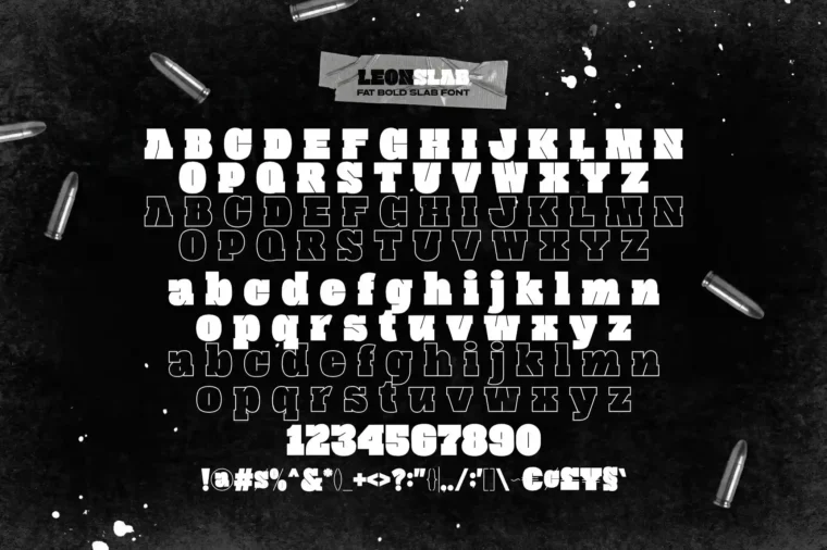 Leon Slab - Bold Font - Image 5