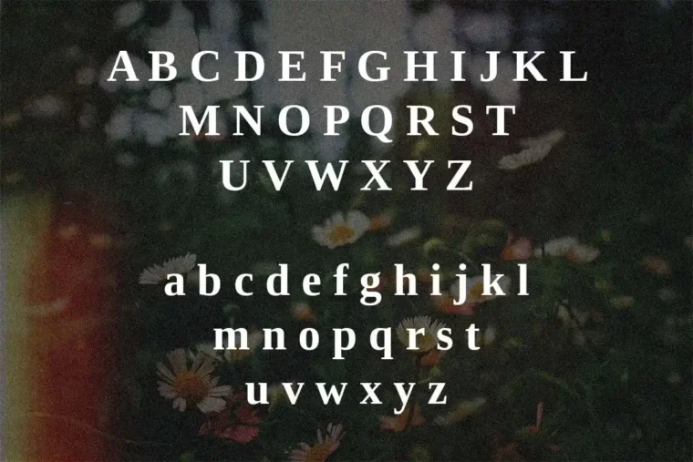 Tinos Serif Font – Free Luxury Modern Typeface - Image 2